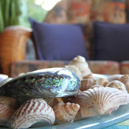 Chalet Romantica Paihia Extérieur photo