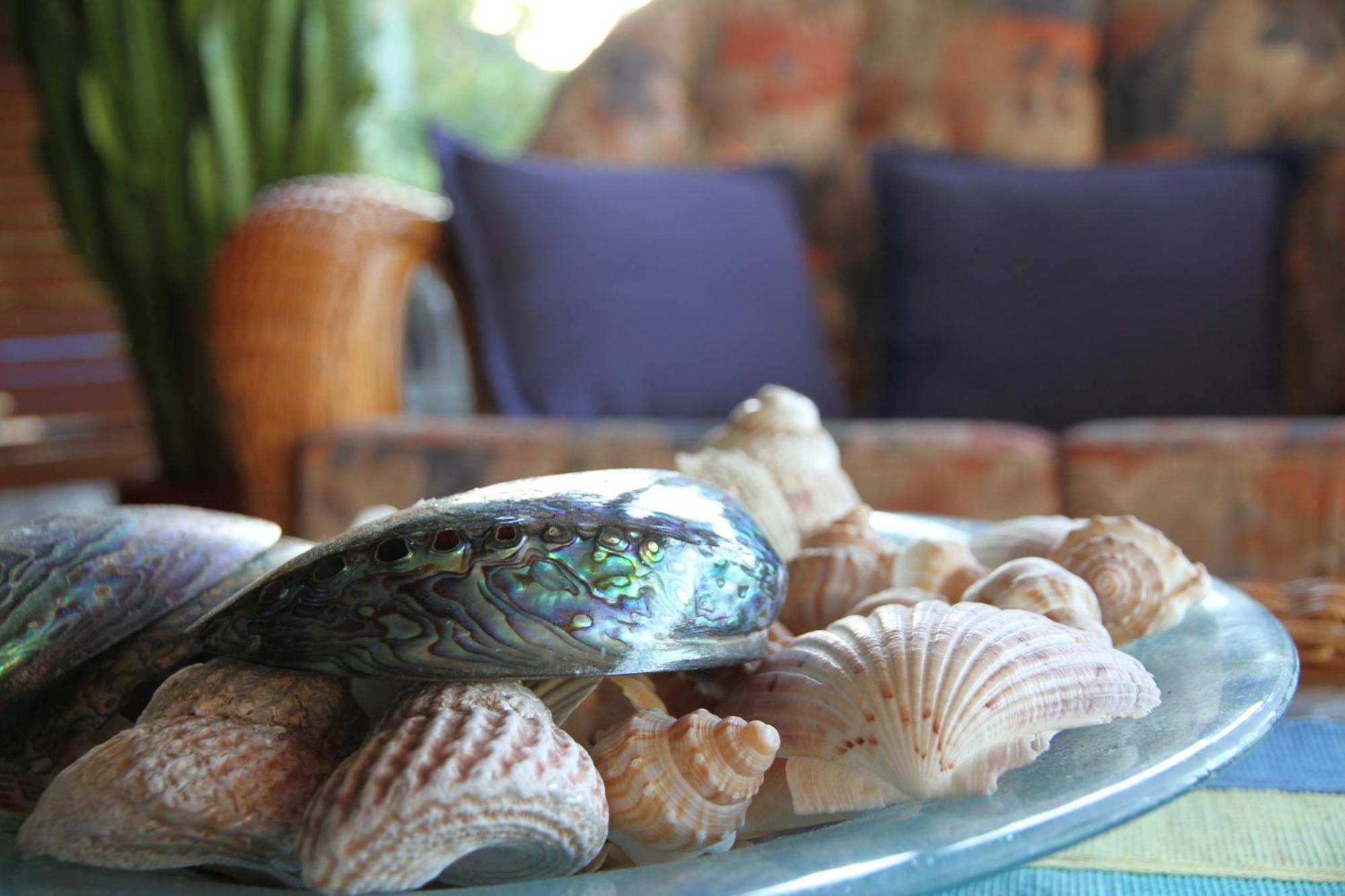 Chalet Romantica Paihia Extérieur photo
